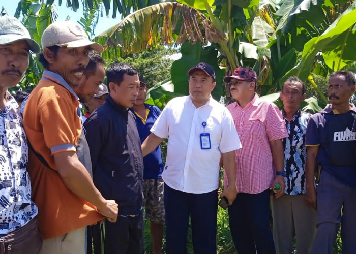 Tanggul Jebol Penyebab Kekeringan 5 Desa Diperbaiki, Anggota DPRD Provinsi Turun Tangan