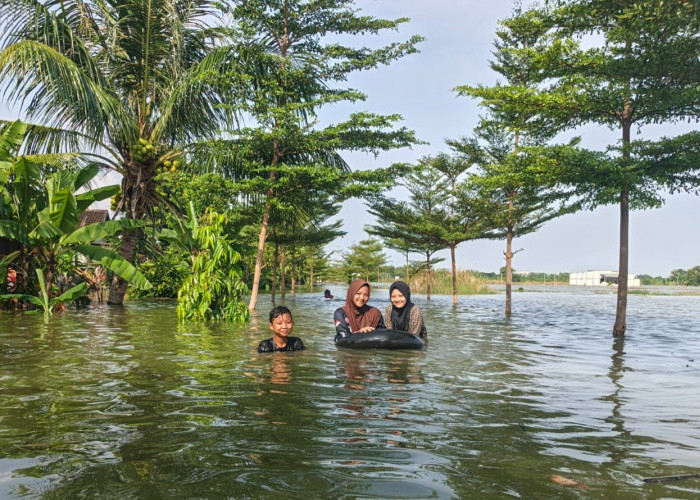 Banjir Bengawan Solo Rendam Ratusan Rumah di Gresik: Ternak Dievakuasi, Warga Enggan Mengungsi