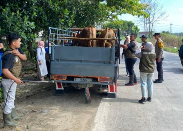 Dinas Peternakan Lamongan Sosialisasikan Alur Pemotongan Hewan Kurban
