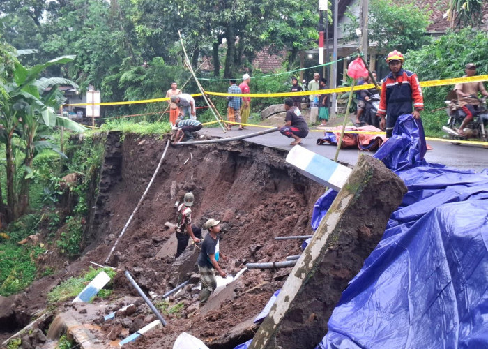 Tanah Longsor Tutup Sebagian Akses Utama Jalur Pasrepan-Tutur