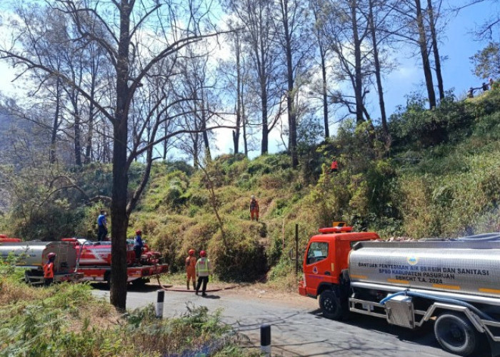 Karhutla Bromo Padam, Tim Gabungan Sisir Bara dan Asap