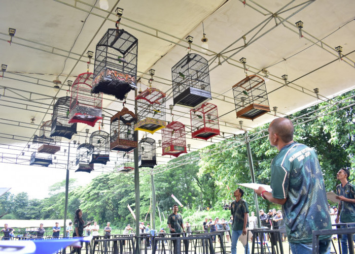 Kostrad Gelar Festival dan Kompetisi Burung Berkicau Champion Piala Danbrigif 9 Kostrad