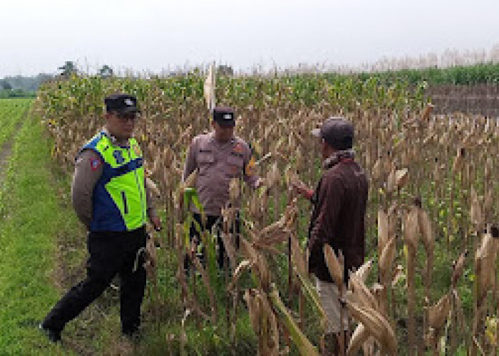 Polisi Kediri Sambang Dialogis dengan Petani, Dukung Ketahanan Pangan