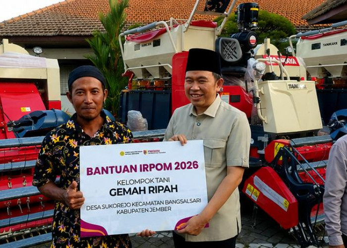 Petani Tersenyum, Bupati Gus Fawait Optimistis Jember Kokoh Jadi Bukti Lumbung Pangan Jawa Timur