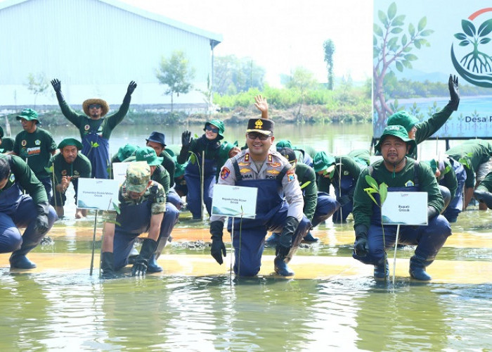 Jaga Ekosistem Pesisir, Polres Gresik Bersama Forkopimda dan PT Smelting Tanam 10.000 Mangrove di Randuboto