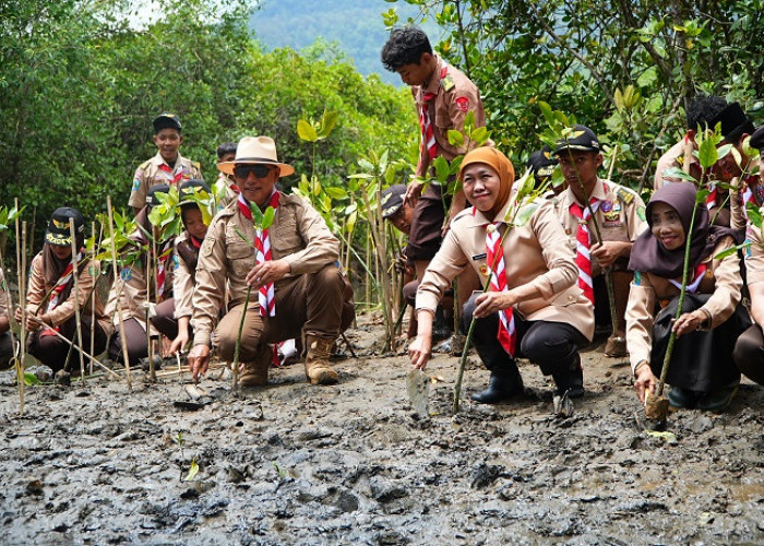 Sedekah Oksigen Lewat Tanam Mangrove Kak Khofifah Ajak Pramuka Jatim Lestarikan Lingkungan