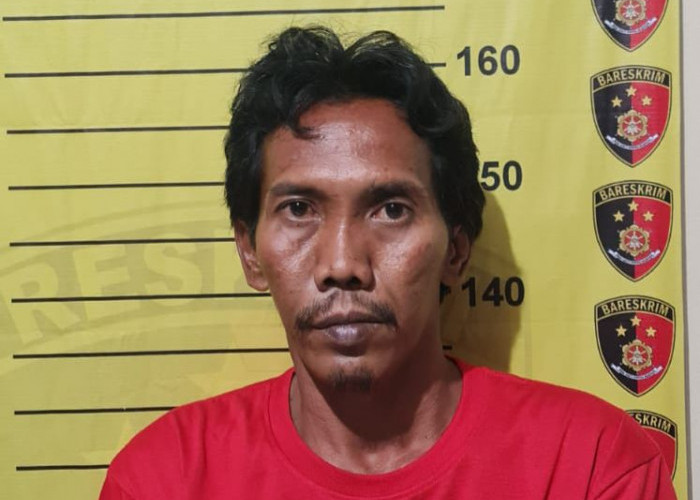 Curi Honda Civic Milik Warga Bungah Gresik, Pria Sidoarjo Langsung Dibekuk Polisi