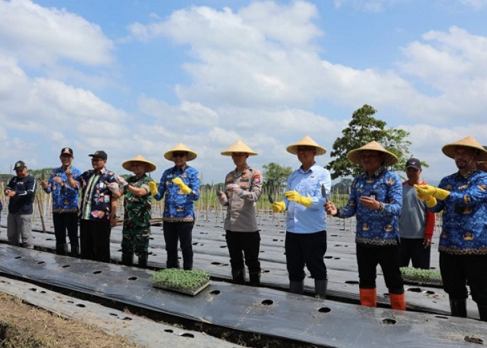 Dukung Ketahanan Pangan, Serahkan Bantuan Alsintan dan Benih