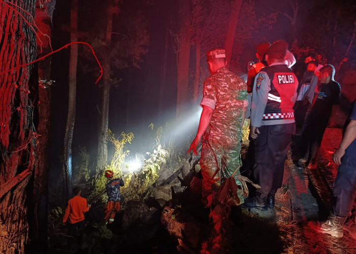 Kebakaran Hutan Pinus di Kendal Ngawi, 0,2 Hektare Terdampak, Api Berhasil Dipadamkan