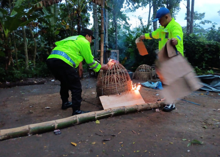 Berkat Laporan Masyarakat via 110, Polsek Sumberpucung Bongkar Arena Sabung Ayam