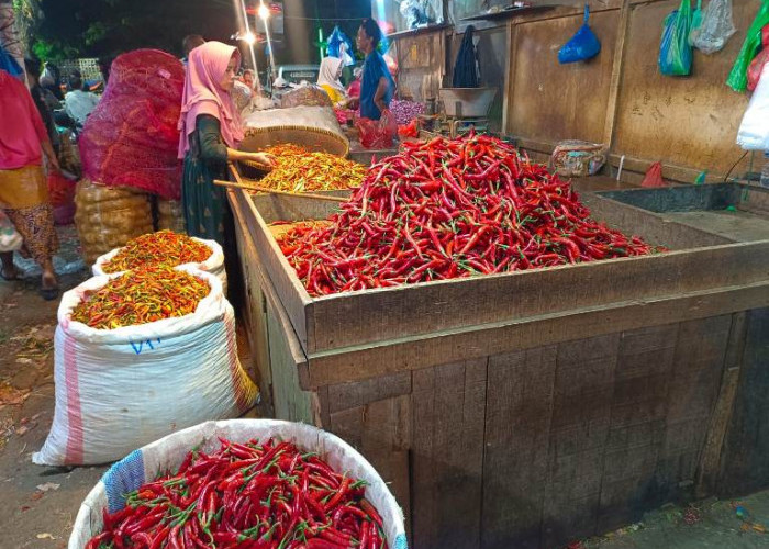 Harga Cabai Meroket di Awal Tahun, Rawit Tembus 70 Ribu per Kilogram 