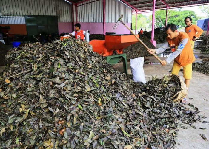 Tekan Volume Sampah ke TPA, Surabaya Irit Rp 6,73 Miliar