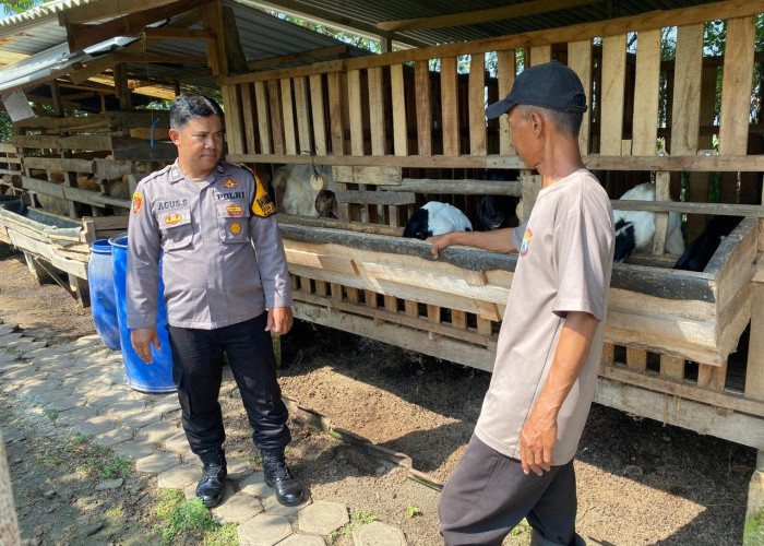 Anggota Polsek Tulangan Blusukan ke Kandang Kambing Janti untuk Dorong Program Ketahanan Pangan