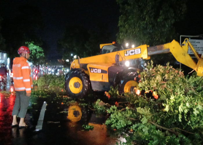 Angin Kencang Terjang Jombang, Pohon Tumbang dan Reklame Roboh di Sejumlah Titik