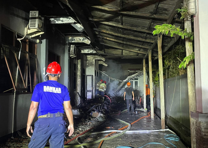 Balai TN Meru Betiri Jember Diamuk Si Jago Merah, 4 Armada Diterjunkan Jinakkan Api