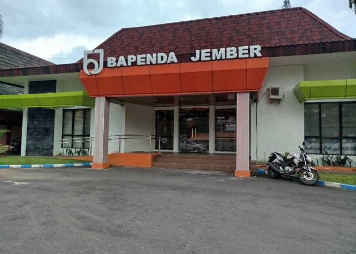 Tanpa Naikkan Pajak PAD Jember Melonjak, Strategi Hati Bupati Fawait Mampu Gerakkan Partisipasi Warga