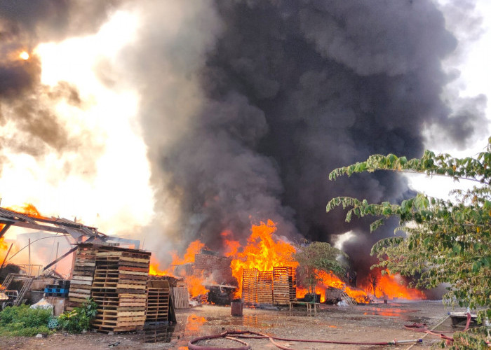 Gudang Palet di Surabaya Terbakar, 5 Rumah Petak Ludes