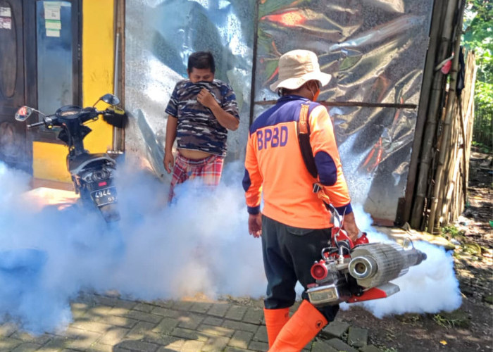Temukan Kasus DBD, Petugas Masuk Kampung Semprot Fogging