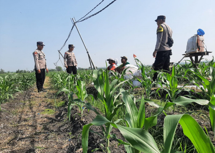 Polsek Bringin Sambang Petani, Dukung Ketahanan Pangan Nasional di Ngawi 