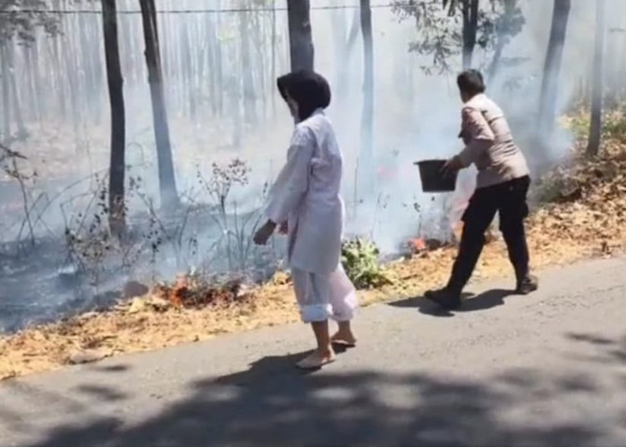 Respons Cepat Polsek Mantingan Polres Ngawi Cegah Karhutla Meluas di Area Hutan