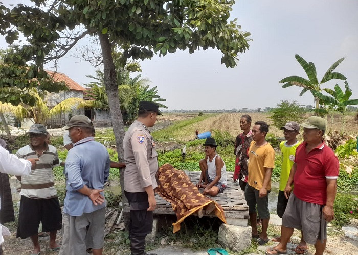 Lansia Lamongan Tewas Mendadak Saat Cari Rumput di Pinggir Jalan