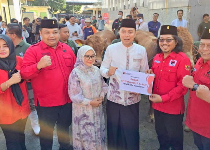 Potong 15 Sapi, PDIP Surabaya Jadikan Iduladha Momen Perkuat Spiritual