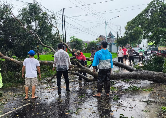 Polresta Banyuwangi Bersama Stakeholder Bersihkan Pohon Tumbang