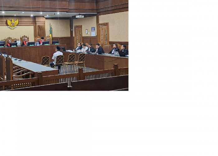 Sidang Suap Bea Cukai Jakarta, Ahmad Dedi Bantah Pernah Jadi Staf Khusus BIN dan Menko Polkam