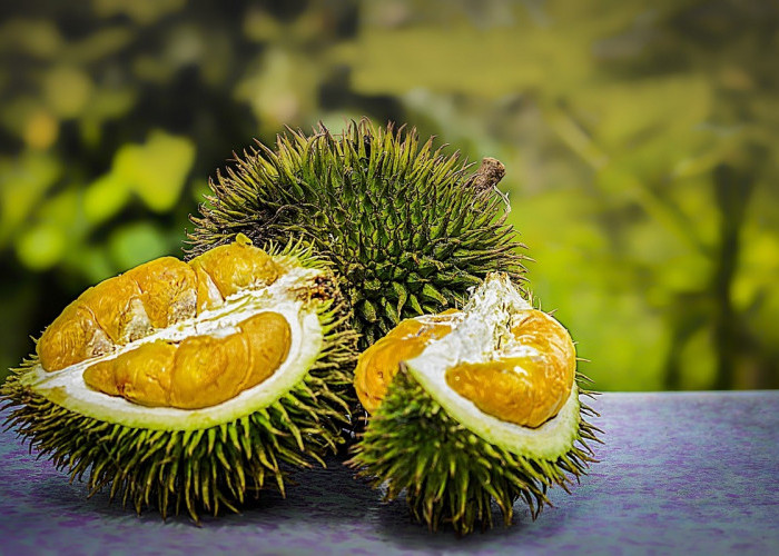 Rahasia Dibalik Aroma Menyengat dan Cita Rasa Unik Durian