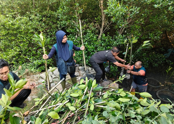 TPS Salurkan 3.000 Bibit Mangrove untuk Hijaukan Pesisir Sontoh Laut Surabaya