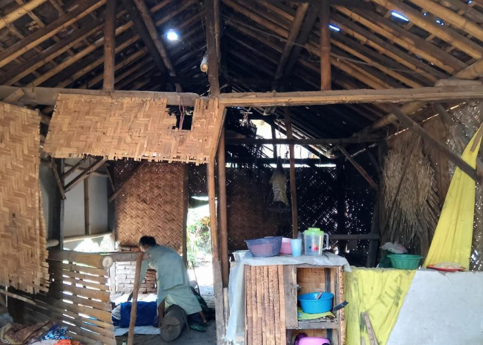 Ironi di Balik Rimbun Hutan, Gus Fawait Siapkan Strategi Radikal Entaskan 90 Ribu KK Miskin Ekstrem