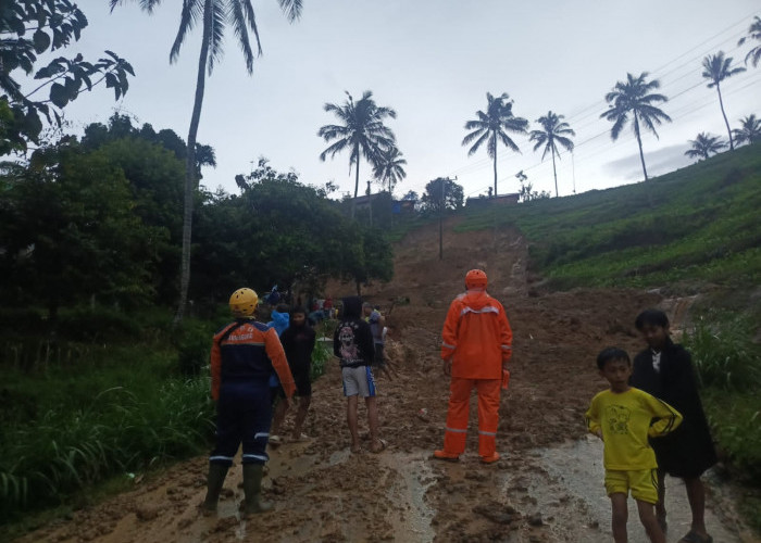 SDN 2 Kradinan Rusak Tertimpa Longsor, Akses Jalan Tulungagung-Trenggalek Lumpuh Total