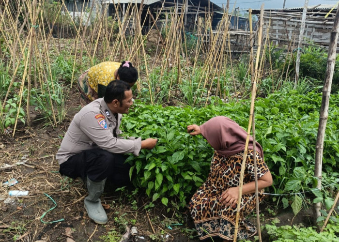 Polsek Jabon dan Warga Siapkan Lahan Produktif, Wujudkan Ketahanan Pangan