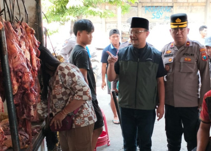 Operasional RPH Tambak Osowilangun Dimulai, Ratusan Sapi Dipotong dalam Empat Hari
