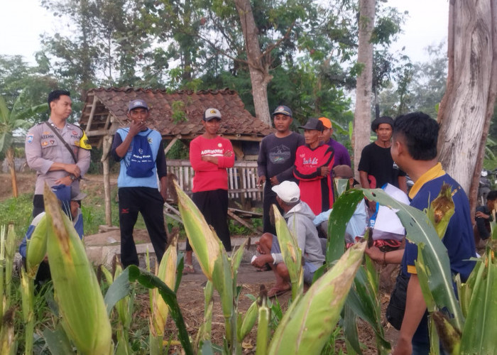 Dukung Program Asta Cita, Bhabinkamtibmas Polsek Tekung Dampingi Petani Sukseskan Ketahanan Pangan