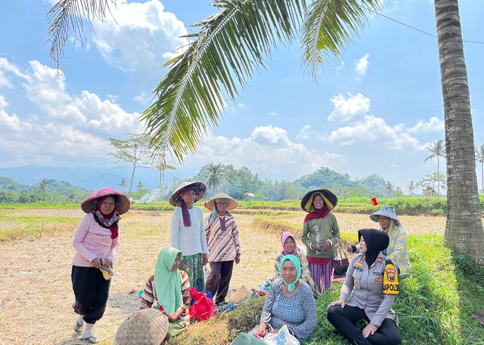 Sambang Sawah, Kapolsek Kalisat Semangati Petani Jagung Wujudkan Swasembada Pangan