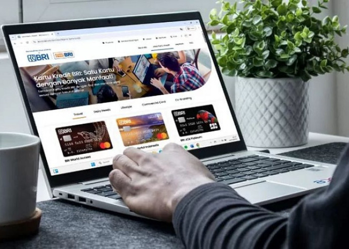 Easy Credit Card BRI, Bunga Kecil Bisa Tarik Tunai Permudah Transaksi Berbelanja