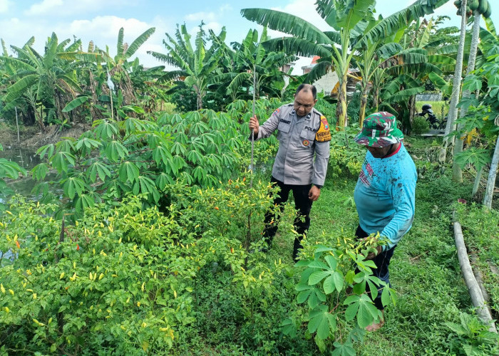 Polisi Sidoarjo Rajin Bantu Petani, Dukung Program Ketahanan Pangan