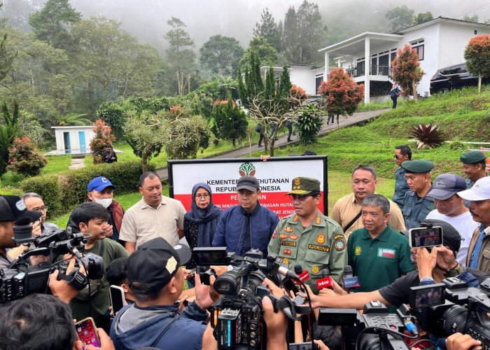 Bentuk Penanggulangan Bencana, Pemerintah Tindak Tegas Pelanggar Kesesuaian Pemanfaatan Ruang