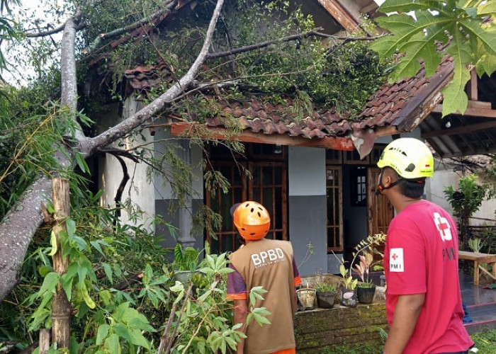 Urek Urek Gondanglegi Diterjang Puting Beliung, Empat Rumah Rusak