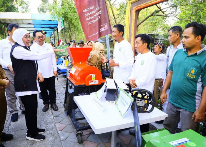 Transaksi Ekonomi Kelompok Tani Hutan Jatim Melejit Tembus Rp 367 M, Kuasai 59 Persen Nasional
