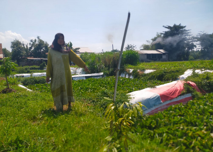 Lahan Dicaplok, Ganti Rugi Tak Jelas, Warga Mayangan Keluhkan Proyek IPAL