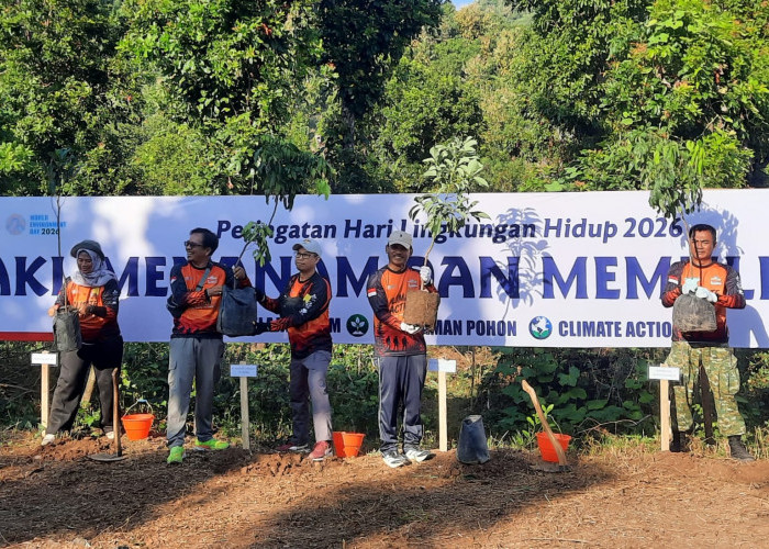 Hari Lingkungan Hidup, PT POMI Tanam Pohon di Hutan Lindung Selobanteng
