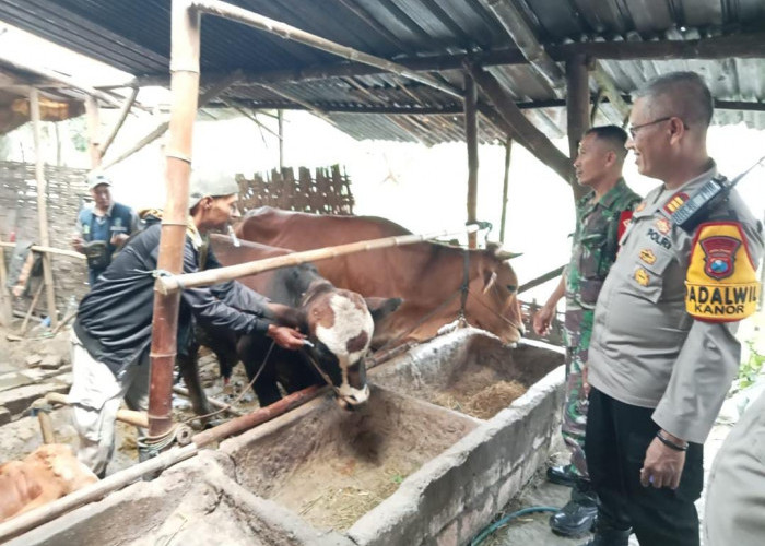 Kapolsek Kanor Terjun Langsung Sosialisasi Pencegahan PMK