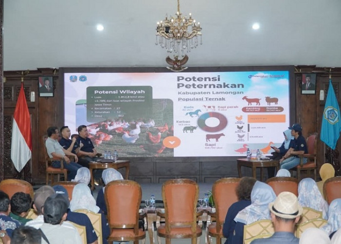 Lamongan Perkuat Peternakan dan Pakan Lokal untuk Dorong Swasembada Protein Hewani