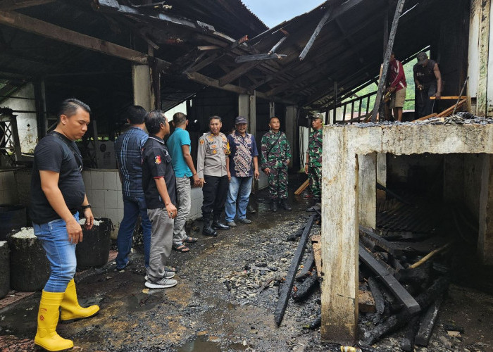 Tungku Pengasapan Karet PDP Khayangan Terbakar, Kerugian Capai Puluhan Juta