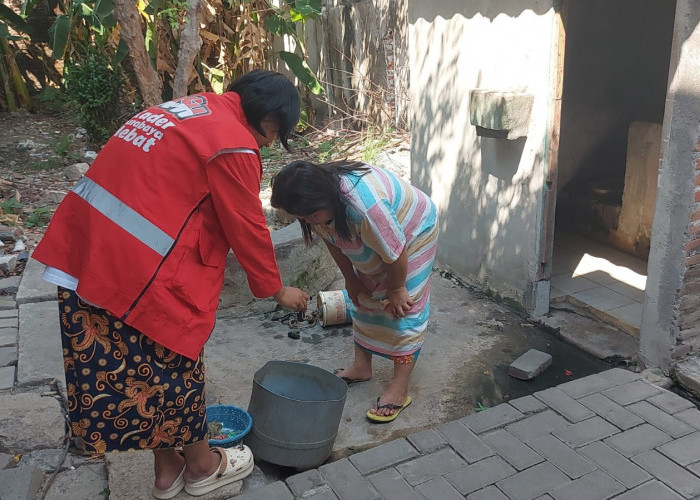 Kader Surabaya Hebat RW XII Embong Kaliasin Sukses Cegah DBD