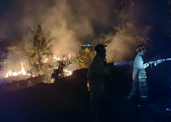 Kemarau Bikin Jember Membara, Kebakaran Melonjak Drastis Capai 219 Kejadian Akibat Kecerobohan Bakar Sampah