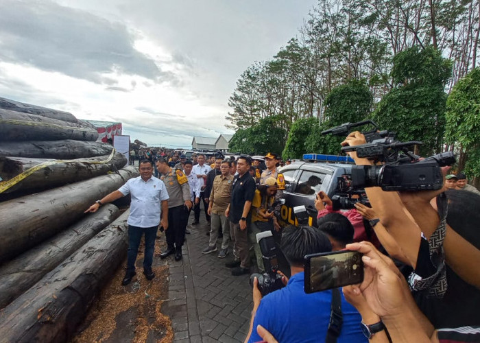 Bareskrim Polri Ungkap Illegal Logging dari PT CSS ke PT KWI di Lamongan