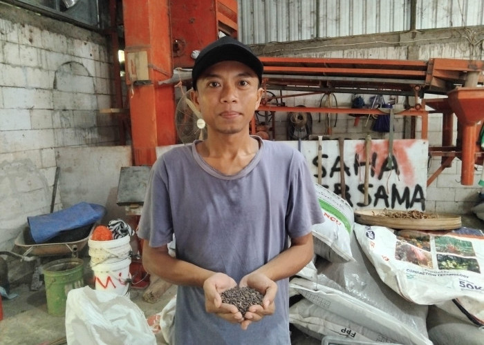 Kisah Sukses Dony Kristanto, Pemuda Jombang yang Bangun Imperium Benih Sayur Bersama 200 Petani Jawa Timur